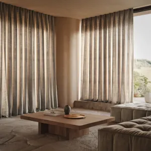 Houseplant Happenings: Unconventional Beauties to Green Up Your Home